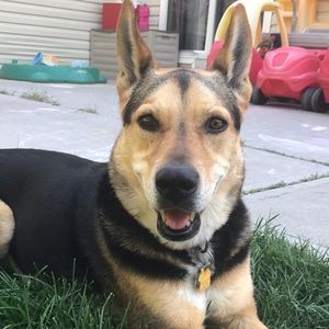 Meet your Posher, Georgette